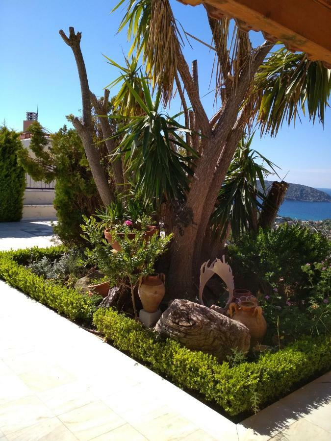 阿纳维索斯 Saronic View旅馆 外观 照片