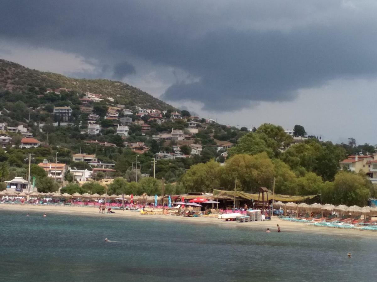 阿纳维索斯 Saronic View旅馆 外观 照片